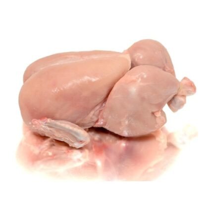 Baby Chicken
