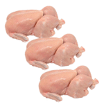Medium Chicken - Image 2