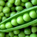 Green Peas
